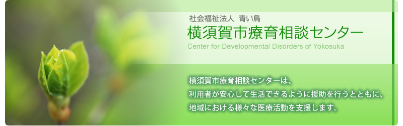 横須賀市療育相談センターは、発達障害などをお持ちのお子さんが安心して生活できるようサポートするとともに、地域におけるさまざまな療育活動を支援します。