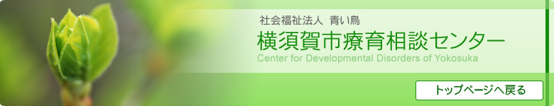 横須賀市療育相談センターは、利用者が安心して生活できるように援助を行うとともに、地域における様々な医療活動を支援します。